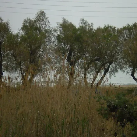 Apartment Studios Parian Blu Logaras