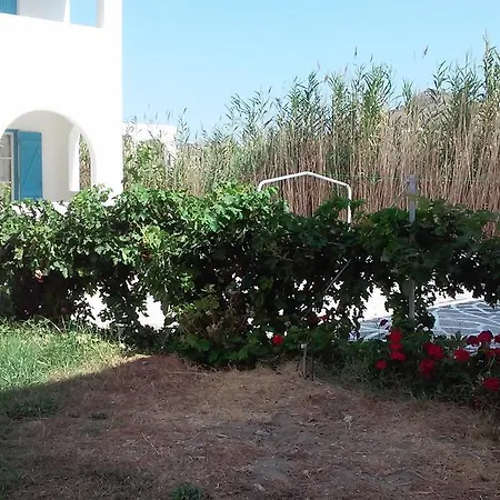 Studios Parian Blu Logaras