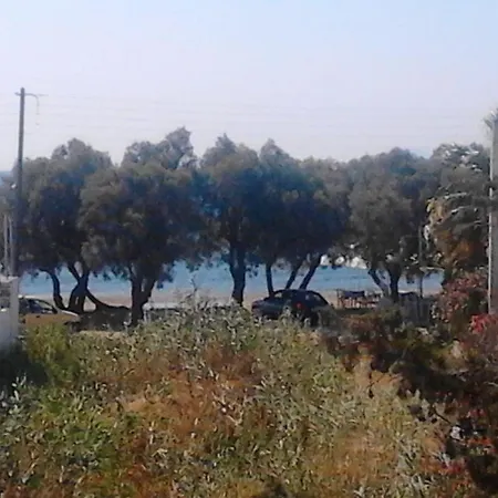 Studios Parian Blu *