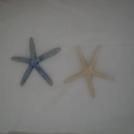 Apartment Studios Parian Blu Logaras