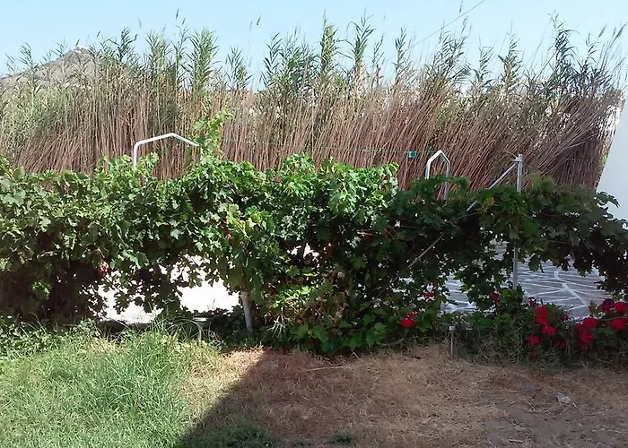 Parian Blu 로갈라스