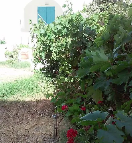 Parian Blu 로갈라스