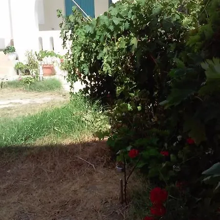 Apartamento Parian Blu Logaras