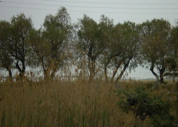 Apartamento Parian Blu Logaras