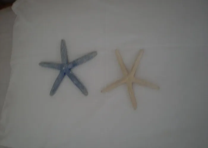 Apartamento Parian Blu Logaras